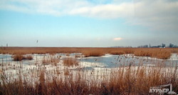 Озера украинского Придунавья замерзли: красивые пейзажи и опасная рыбалка (ФОТО)