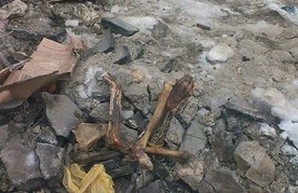 В Одессе под Потемкинской лестницей нашли скелет человека (ФОТО)