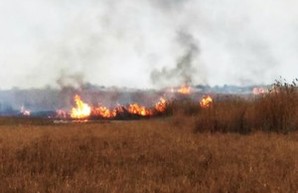 Браконьеры подожгли плавни в национальном парке, чтобы убивать спасающихся от огня животных (ФОТО)