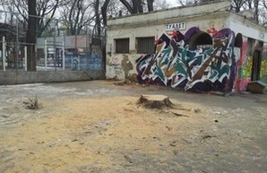 В одесском Старобазарном сквере спилили деревья (ФОТО)