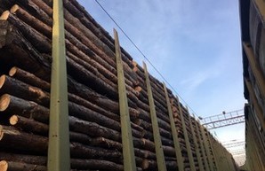 Сотрудники СБУ арестовали крупную партию очередной "лесной контрабанды" (ФОТО)