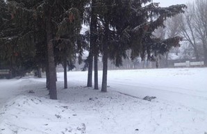Север Одесской области уже накрыло метелью (ФОТО)