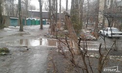 Одесские улицы и дворы превратились в ледовые катки (ФОТО)