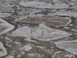 Ледяное безмолвие одесского побережья: корабли, чайки и коты (ФОТО)