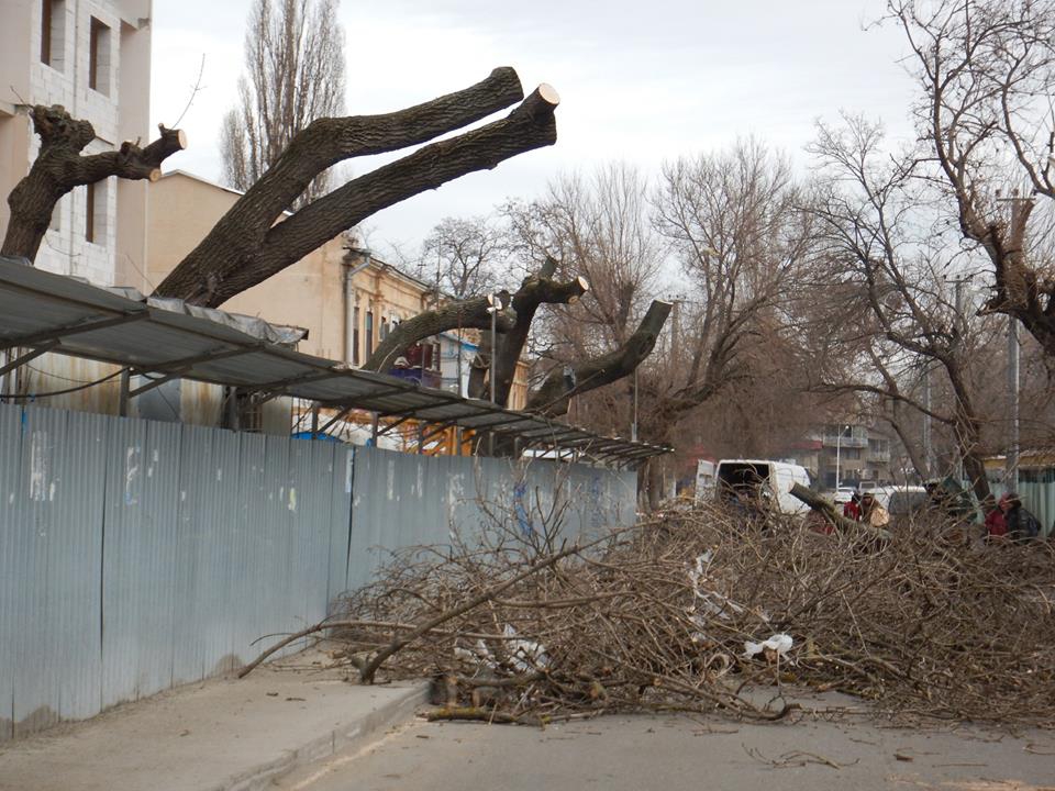 В Одессе на Молдаванке одиозный застройщик уничтожает деревья