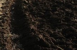 Неизвестные опять возобновили распашку Тарутинской степи