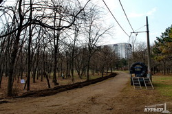 В одесском Парке Победы начался  ремонт систем полива зеленых зон (ФОТО)