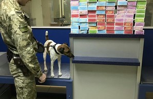 В аэропорту Одессы пограничники обнаружили более 40 килограммов табака для кальяна