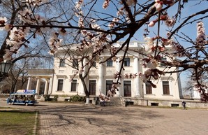 В одесской мэрии готовят реставрацию Воронцовского дворца
