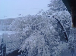 Север Одесской области завален снегом: апрельская зима