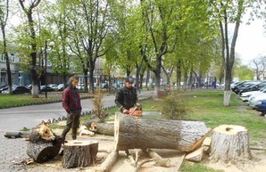 Итоги вчерашнего шторма в Одессе: древопада не было, но падали балконы