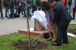 В Одессе посадили сакуры в Парке Победы (ФОТО)