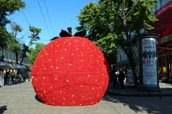 На главной улице Одессы появилась гигантская клубничка (ФОТО)