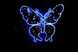 Вечерняя сказка улицы Дерибасовской в Одессе: светящиеся бабочки и фрукты (ФОТО)