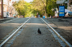 В Одессе снимают трамвайные рельсы: реконструкция Преображенской продолжается