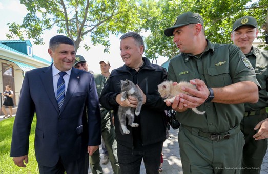 В трех городах Одесской области Аваков начинает формировать патрульную полицию и фотографируется с котятами