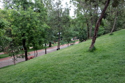 Стамбульский парк в Одессе спустя три недели после открытия: первые уроки (ФОТО)