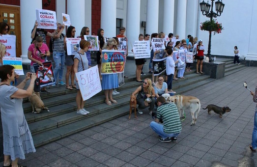 Зоозащитники опять провели митинг возле Одесской мэрии