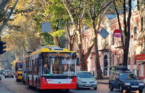На Пушкинской пилят ветки: движение транспорта затруднено