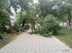 На Измаил, Рени и Болград обрушился ураган