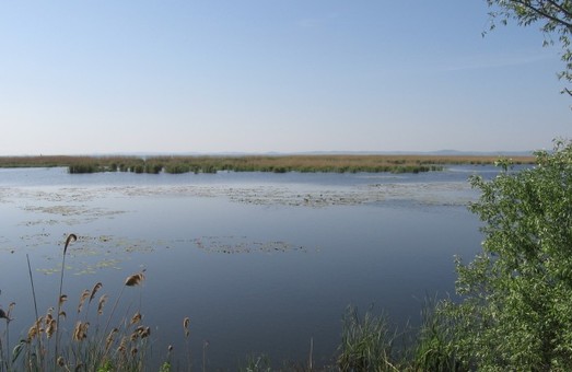 Озеро Ялпуг в Одесской области в критическом состоянии