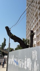 В Одессе строительная компания пилит деревья и не допускает на стройплощадку комиссии муниципалитета
