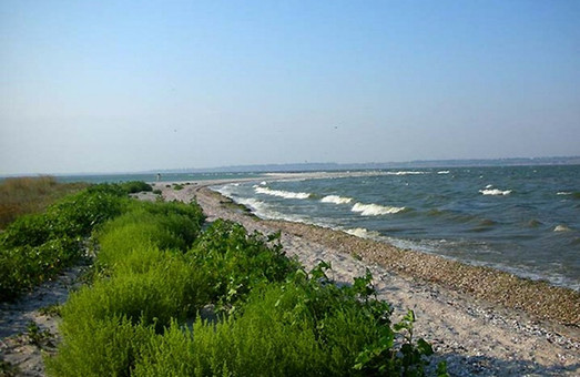 В Одесской области искусственно увеличится популяция рыб