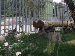 Одесский Ботанический сад отрезали от отопления