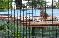 Одесский зоопарк весело и ярко отметил свое 95-летие