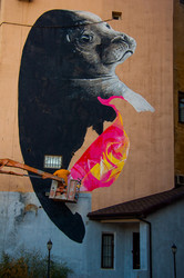 Спешите видеть: на Французском бульваре рисуют тюленя (ФОТО)