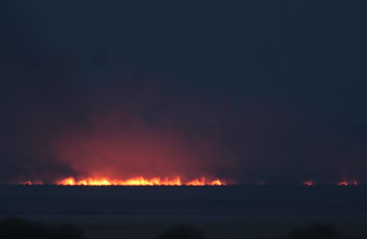 Очередной пожар: на сей раз подожгли заповедник под Одессой