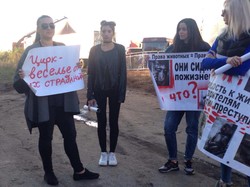 В Черноморске провели акцию против участия животных в цирковых представлениях