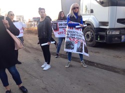 В Черноморске провели акцию против участия животных в цирковых представлениях