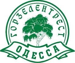 Одесский "Горзелентрест" закупит саженцев на два миллиона