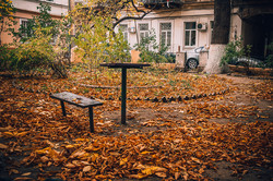 Осенняя Одесса в ноябре окрасилась в желтый цвет (ФОТО)