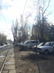 Французский бульвар в Одессе озеленяют новыми деревьями