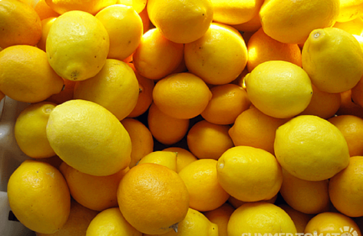 Растаможка лимонов в Одессе выросла за год в 1,5 раза