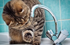 Послезавтра часть одесской Слободки останется без воды