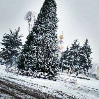 Север Одесской области замело снегом