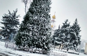 Север Одесской области замело снегом