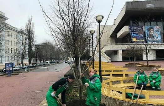 В Одессе около автовокзала высадили новые деревья