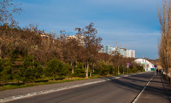 В Одессе на Фонтане начали строить эстакаду (ФОТО)