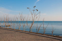 Конец декабря в Одессе: все идут на пляж (ФОТО)