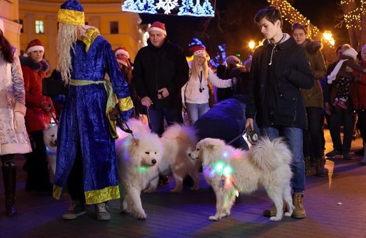 В Одессе прошло шествие белоснежных собак