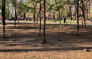 В Одессе будут благоустраивать сквер на Молдаванке