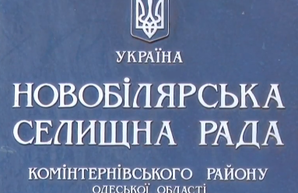Печать раздора: в Новых Белярах ищут печать местного теризбиркома