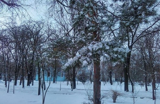 Буря столетия: в Одесской области обесточены 530 населенных пунктов