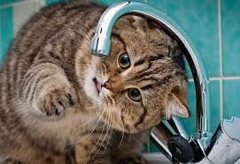 На поселке Котовского отключили воду от заката до рассвета