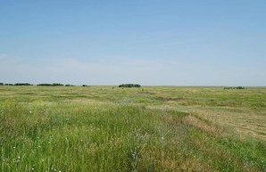 В Одесской области планируют создать национальный природный парк