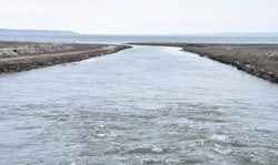 Тилигульский лиман уже получает воду из Черного моря (ФОТО)
